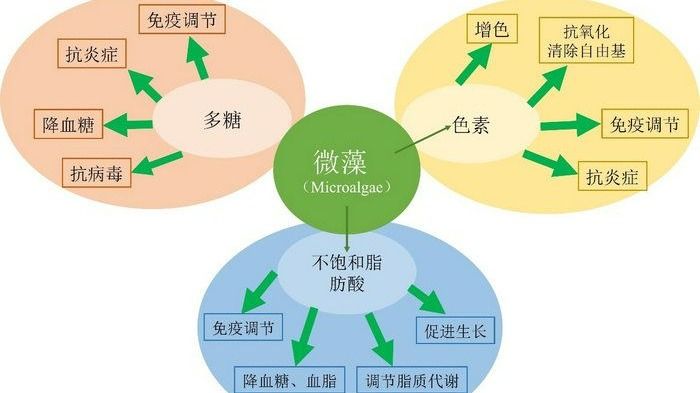 ��ҳ|ng������Ϸ�й����Źٷ���վ