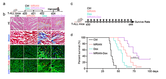 ��ҳ|ng������Ϸ�й����Źٷ���վ