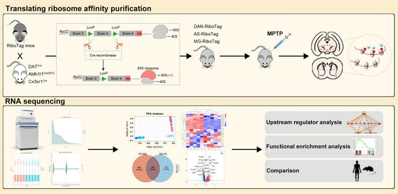 DC95B2197A9506CBA68281042EF_4C2DC7D0_D148