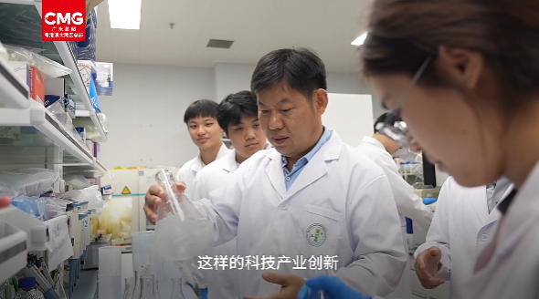 ��ҳ|ng������Ϸ�й����Źٷ���վ