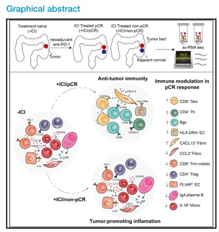 6D78F4F4BE895655A5B66B01CA8_8124AD97_E4D1 6D78F4F4BE895655A5B66B01CA8_8124AD97_E4D1