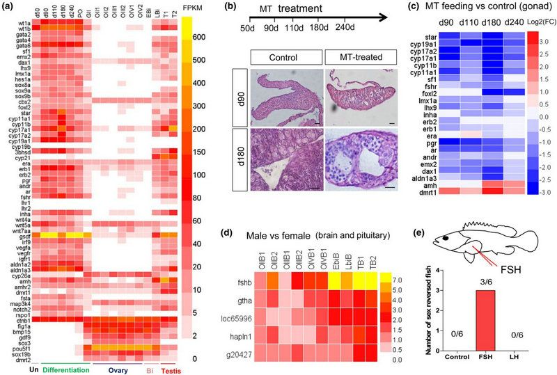 370BB3965209BCB5BDB423446D4_45F40739_189AB