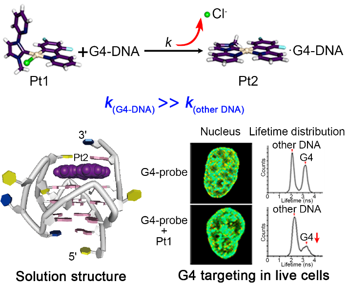 ��ҳ|ng������Ϸ�й����Źٷ���վ