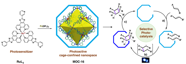 ��ҳ|ng������Ϸ�й����Źٷ���վ