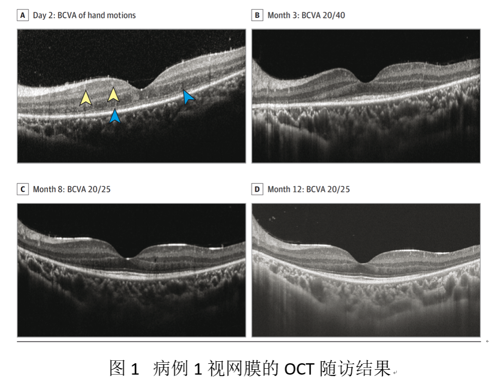 DE67C1FF642305332DA72707146_F413D382_AB7C4