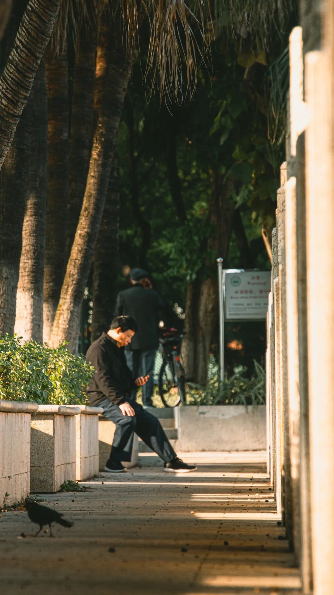 71054529AA6EF423C39B453DC07_D05802CE_3C199 ͼƬ