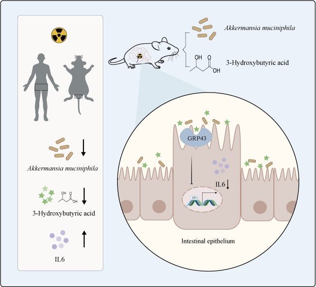 F766E78754F9094035CC89450E8_A061DE8D_B57D