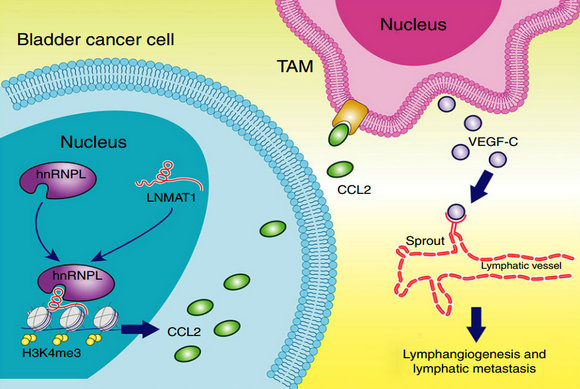 ��ҳ|ng������Ϸ�й����Źٷ���վ