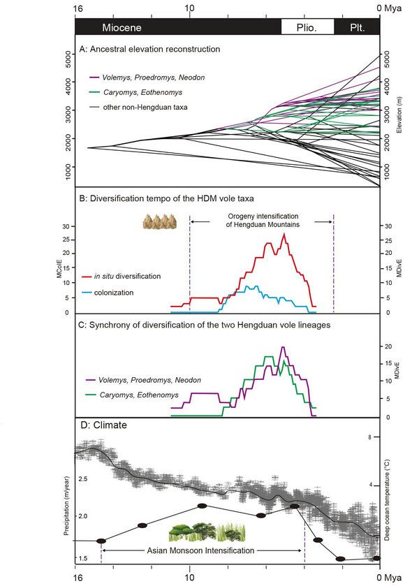37440492DC323DA1D9D308FA386_1337D3B5_12C18 37440492DC323DA1D9D308FA386_1337D3B5_12C18