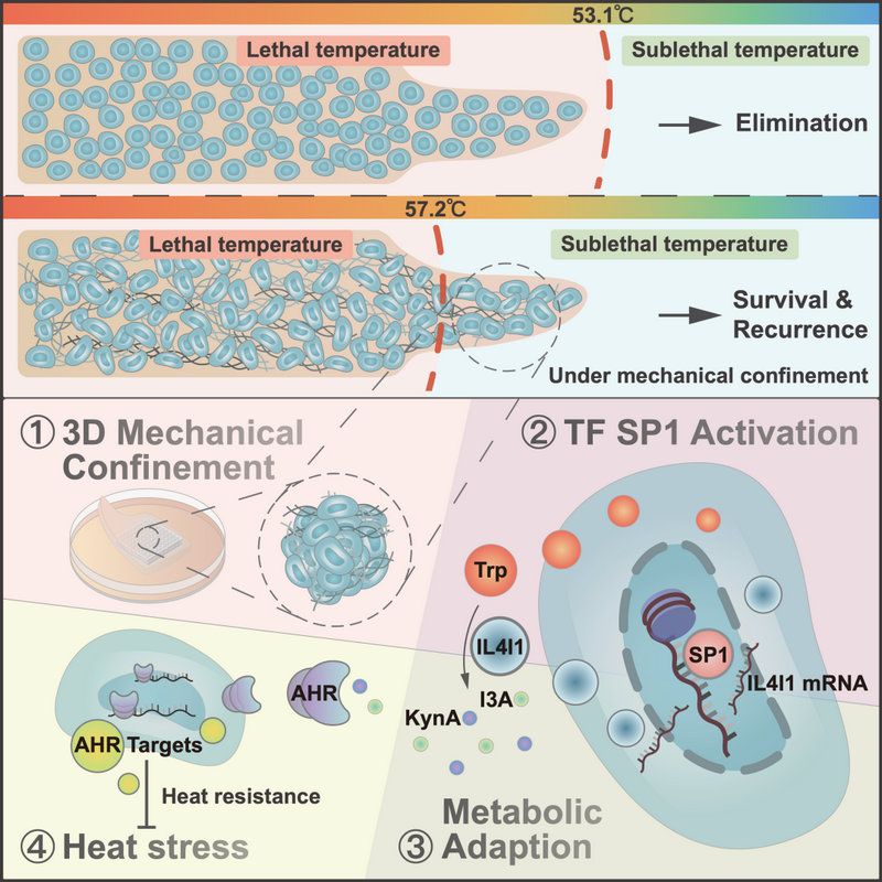 92C12A950D775537E35615D2432_BB433D07_1D482