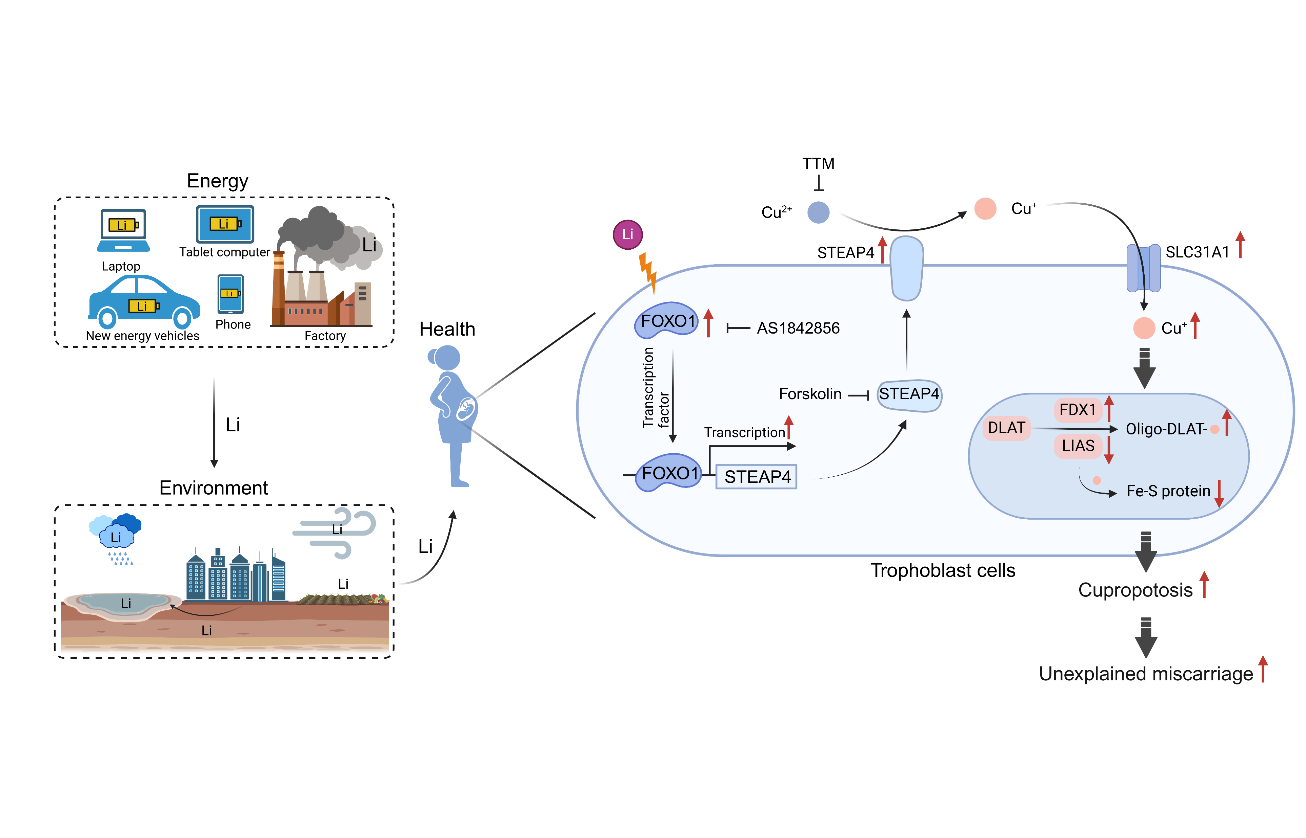 B6FB30783B06076B8630107A2F0_862A3004_16EB3
