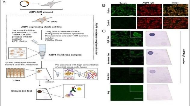 ��ҳ|ng������Ϸ�й����Źٷ���վ