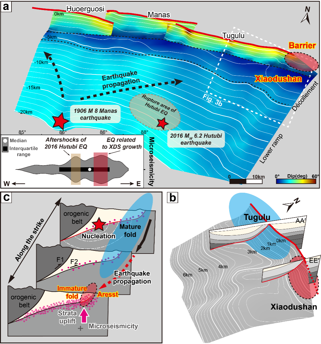 589AAEFCB9B88A83805A24DE2DB_D3E1EBDC_9063C