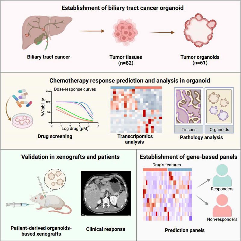 497BFB6BE45D191E55DD0E2452A_9D2D3984_18819