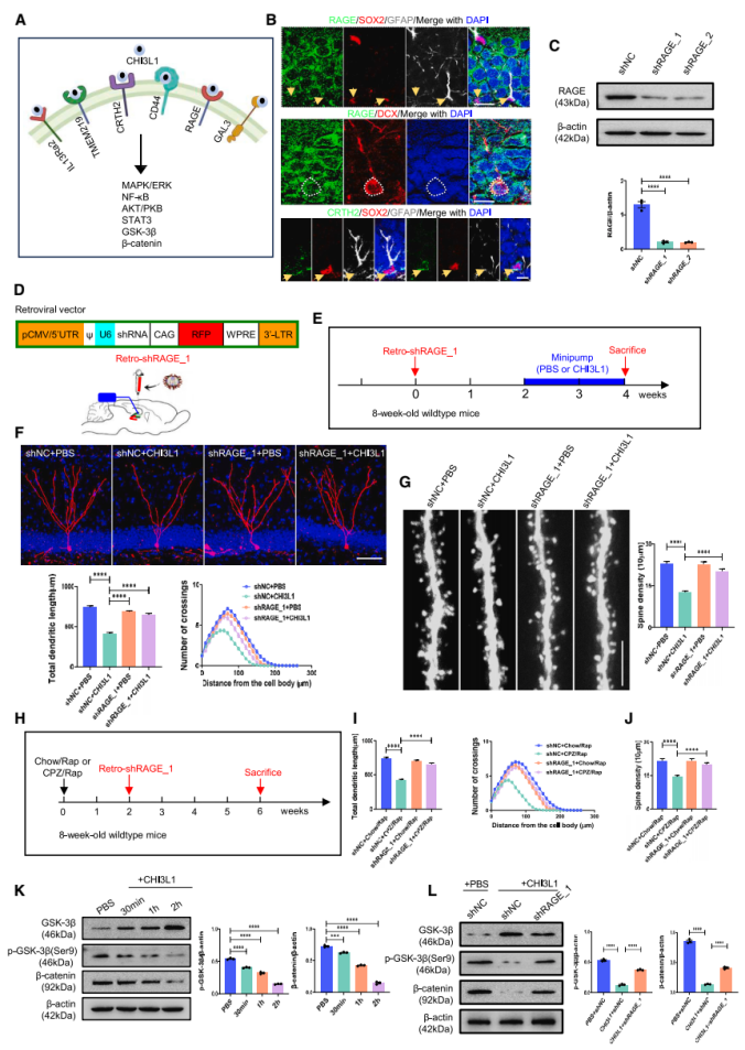 8A6B405B909B5EE132181BAFE09_6235E2E2_69AB1