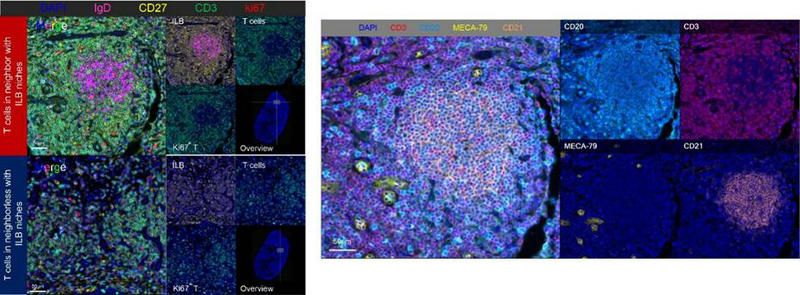 7D23F5925C7F0B68D972CD57440_AD7F5D8A_F25E 7D23F5925C7F0B68D972CD57440_AD7F5D8A_F25E
