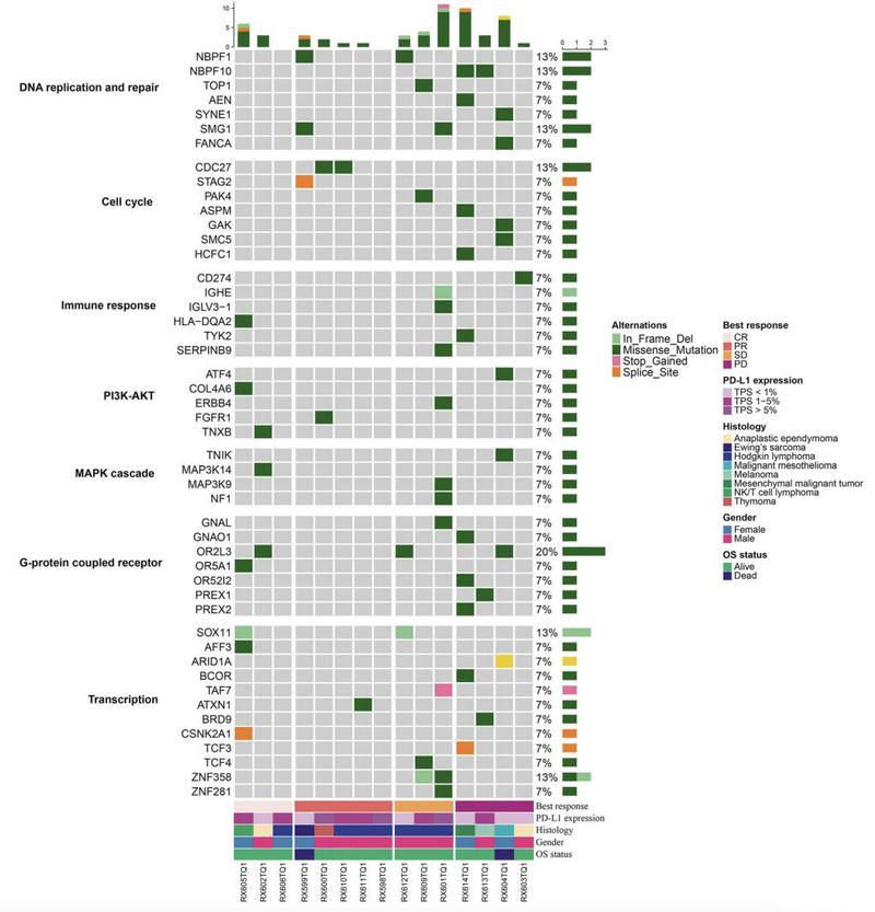 5566913A5204A76627AE3ABD69B_B460629D_15B8A 5566913A5204A76627AE3ABD69B_B460629D_15B8A