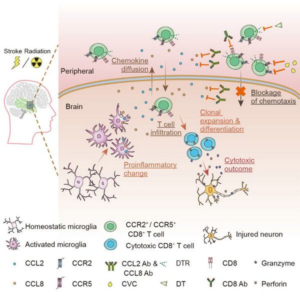 A6EB8C6B3A1D56BABA1A89A63C8_C8B7D731_F43F
