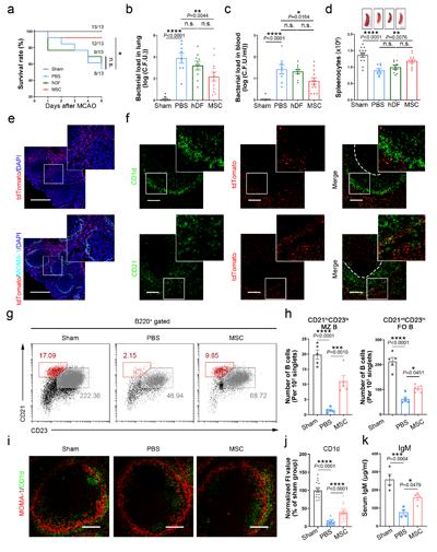 ��ҳ|ng������Ϸ�й����Źٷ���վ