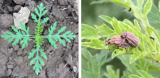 ��ҳ|ng������Ϸ�й����Źٷ���վ