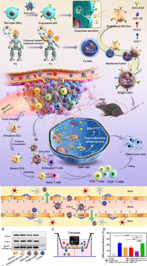 890CE03FC1856AE024320F3C36C_CEEA8B6B_14FB9