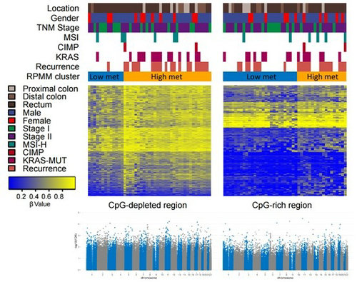 6167CDC62E77D1DD066F103597D_07DD6892_12416