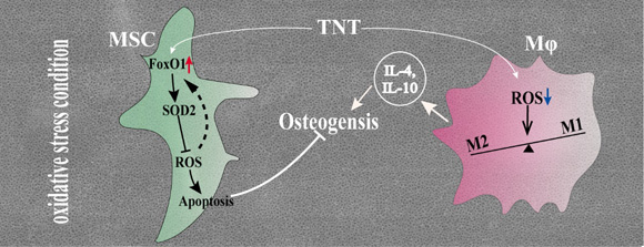 ��ҳ|ng������Ϸ�й����Źٷ���վ