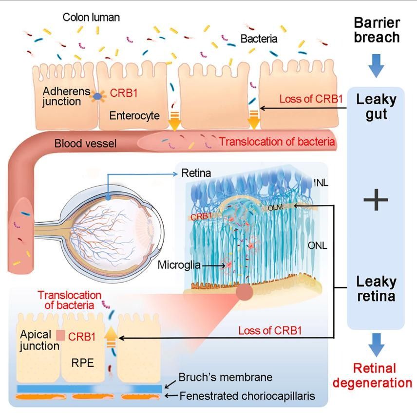 ��ҳ|ng������Ϸ�й����Źٷ���վ
