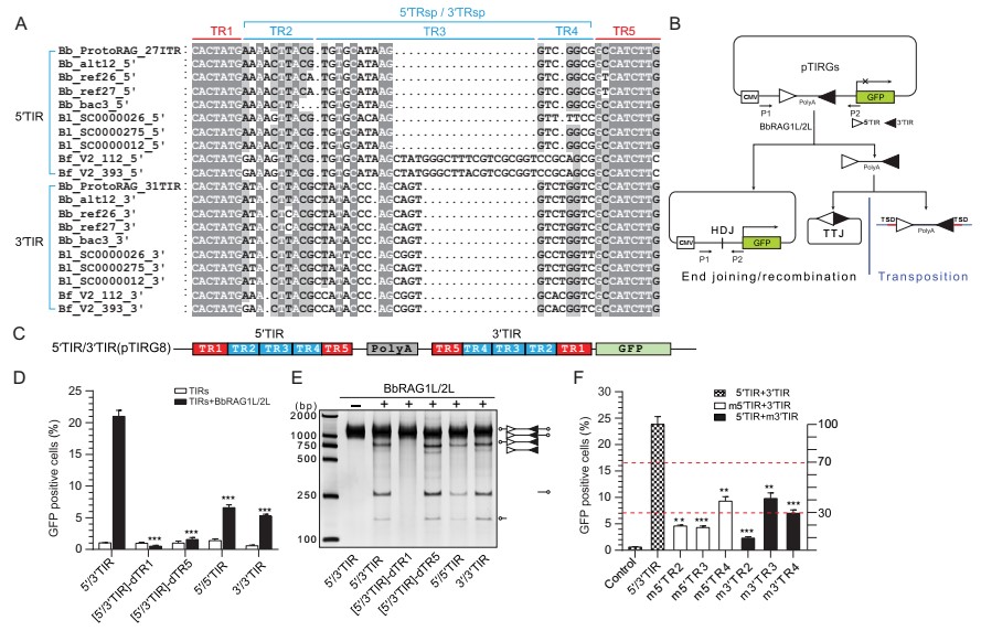 ��ҳ|ng������Ϸ�й����Źٷ���վ