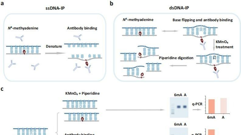 ��ҳ|ng������Ϸ�й����Źٷ���վ