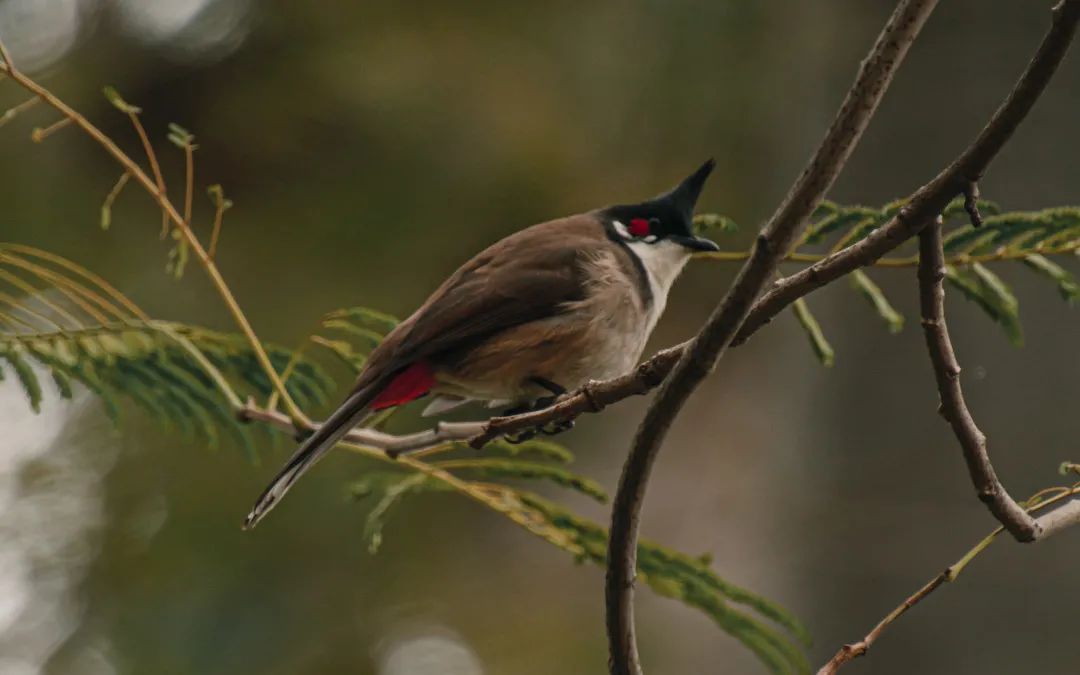 90B0E8E978B6FE94082731D828E_80F65BCD_E074 ͼƬ