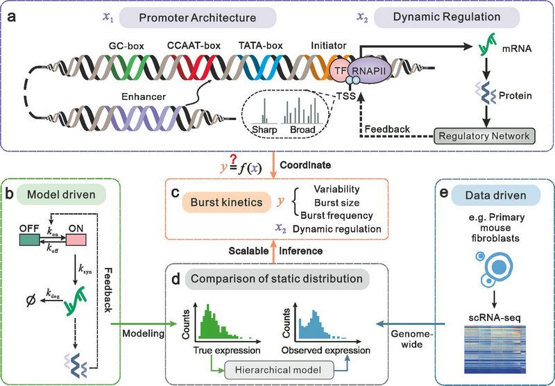 5618F0988B8E03DC9B510DB0F7C_549D12D6_1655A