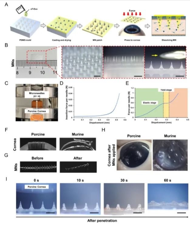 45E181A4C1B810D6992F08C54B5_98ED5BD6_EABD
