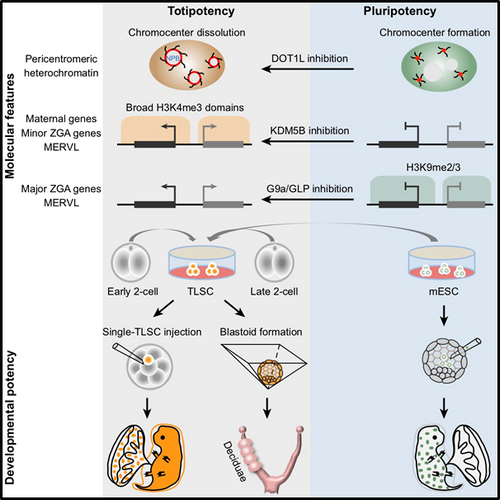 ��ҳ|ng������Ϸ�й����Źٷ���վ