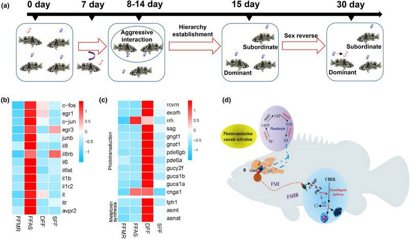 C698762FF14527A129537442C94_27F2BC78_F03E