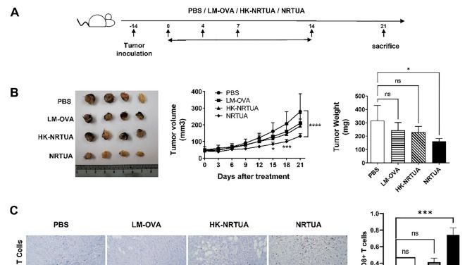 ��ҳ|ng������Ϸ�й����Źٷ���վ