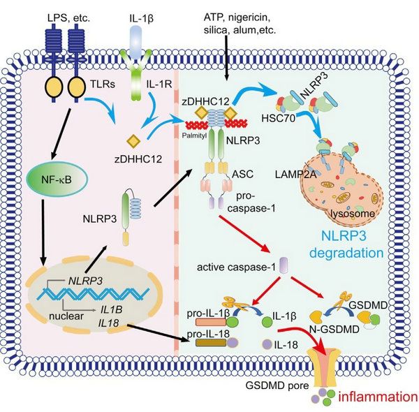 3B2B7F7DD903C9981725AE202DB_9064CC9A_155E9 3B2B7F7DD903C9981725AE202DB_9064CC9A_155E9
