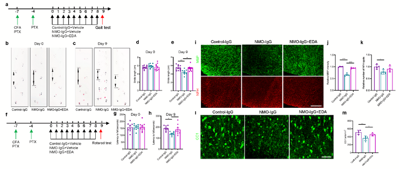 26BCFAF82B269FA84FA145C60FD_501CBFE8_33ABC 26BCFAF82B269FA84FA145C60FD_501CBFE8_33ABC