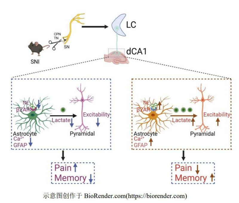941E2C6F4A6EC44B22CDADEC336_5A17D9B6_E26E