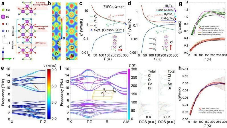 ��ҳ|ng������Ϸ�й����Źٷ���վ