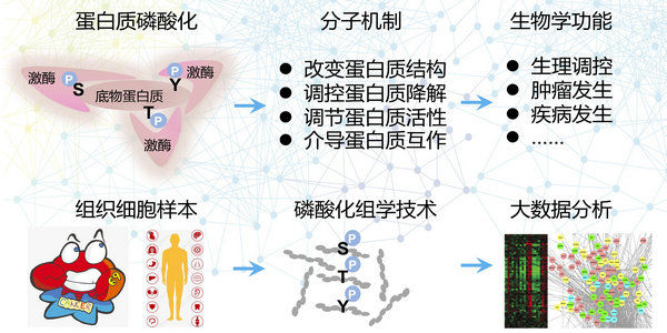 ��ҳ|ng������Ϸ�й����Źٷ���վ