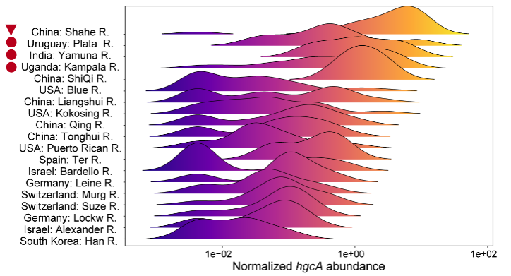 D6E920CA4C65C29735379F9D230_45A01FAD_1768B
