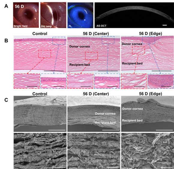 ��ҳ|ng������Ϸ�й����Źٷ���վ