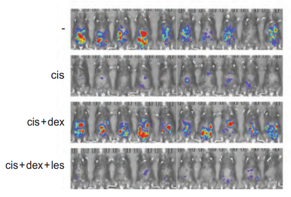 ��ҳ|ng������Ϸ�й����Źٷ���վ