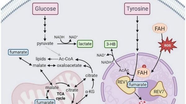 ��ҳ|ng������Ϸ�й����Źٷ���վ