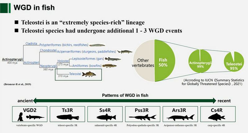 B740239A91346FCB68038FF1BD7_571E4AAA_E660