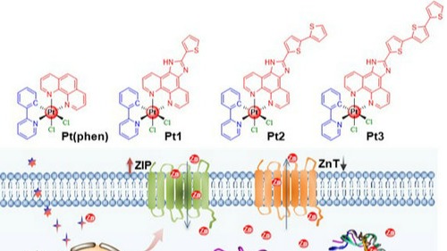 ��ҳ|ng������Ϸ�й����Źٷ���վ