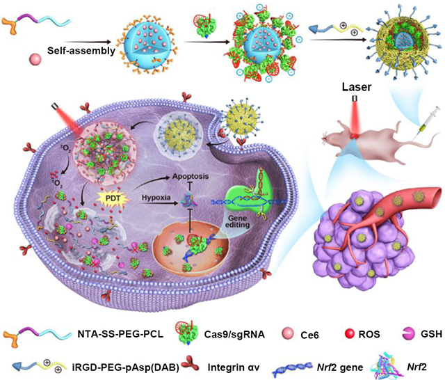 ��ҳ|ng������Ϸ�й����Źٷ���վ