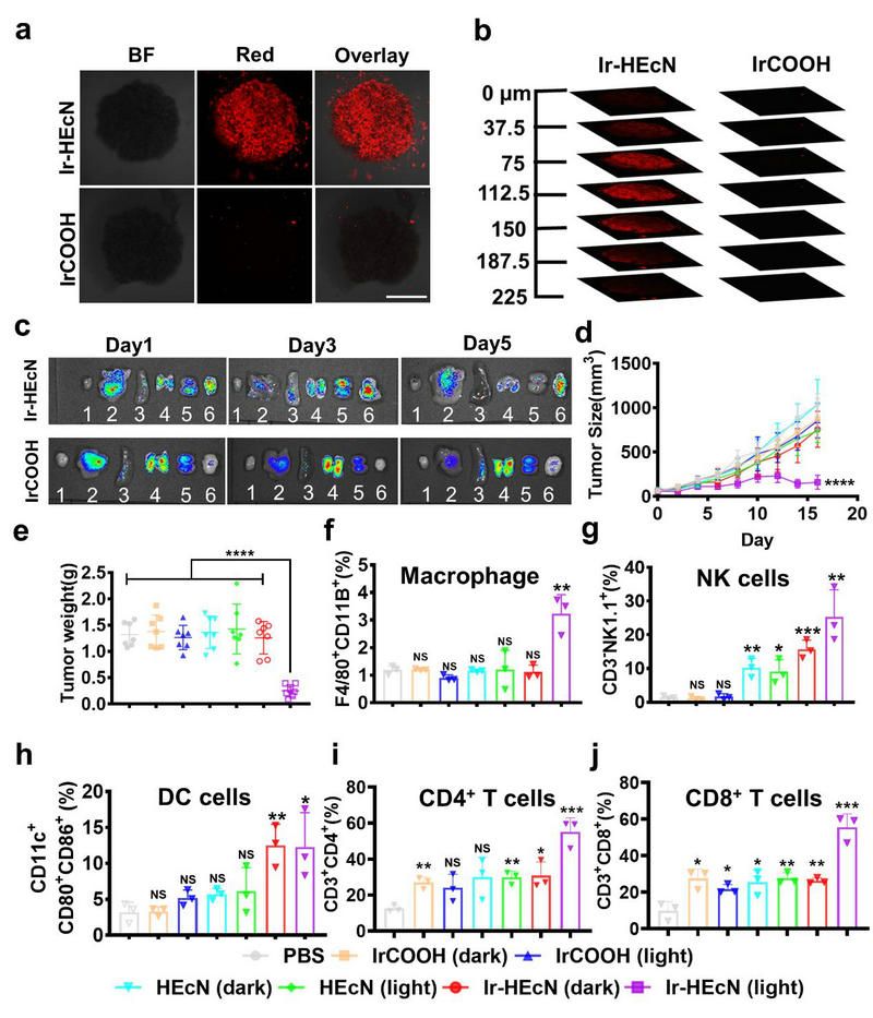 67FDF445C2E409E4215A94BCE88_E12F9D8E_1EA86