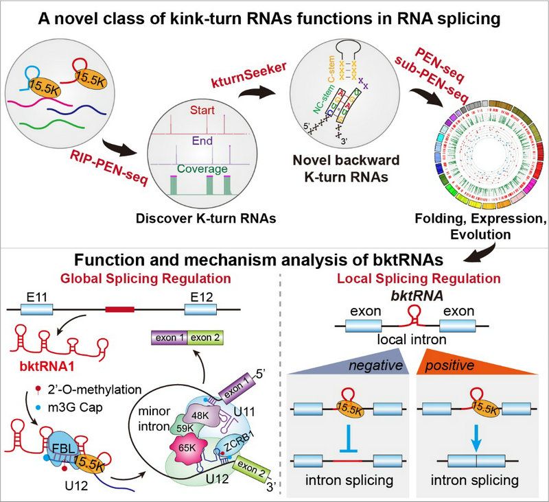 11626E17BCCF85BFEBE829C9E19_DA526788_1D8BD